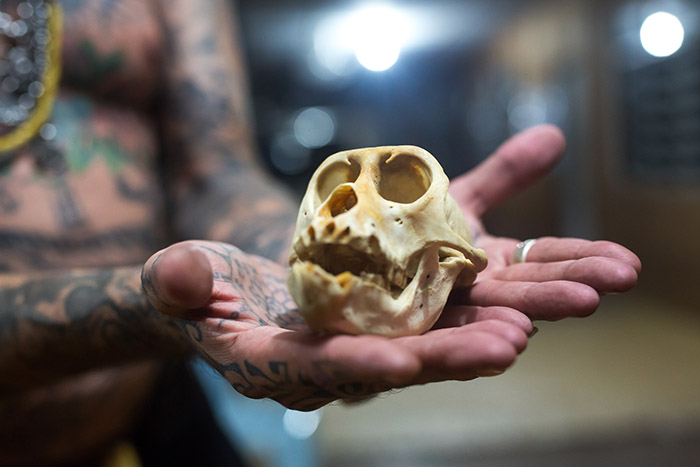 borneo, older man, tatouage, traditionnel, iban, sarawak, dayak, pmod, tatouage , bras, black ink, black tattooing