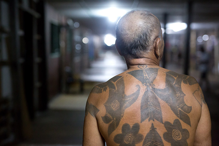 borneo, older man, backpiece, tatouage, traditionnel, iban, sarawak, dayak, pmod, tatouage , bras, black ink, black tattooing