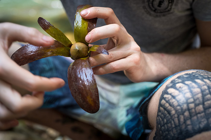 borneo, older man, tattooing, tatoueur, tatouage, traditionnel, iban, sarawak, dayak, pmod, tatouage , bras, black ink, black tattooing