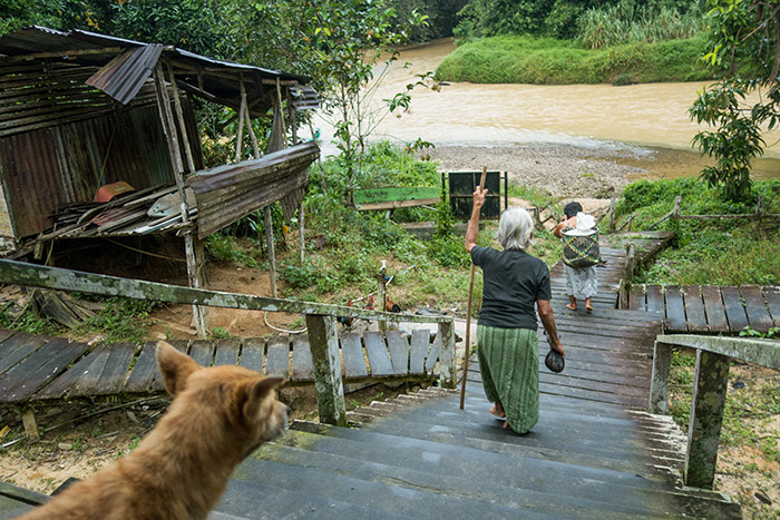 borneo, older man, bungalow tearing, tatouage, traditionnel, iban, sarawak, dayak, longhouse, village, pmod, photographie