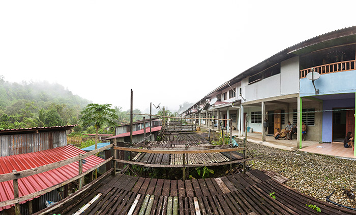 borneo, older man, bunga terung, tatouage, traditionnel, iban, sarawak, dayak, pmod, tatouage , bras, black ink, black tattooing