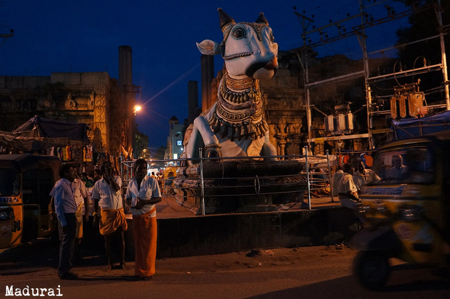 india, reportage, foule, lauré siegel, tom water, tattoo, tattooer, inde