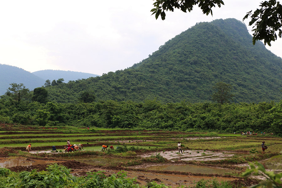 inde, paysage, tatouage, tatouage, tradition du tatouage