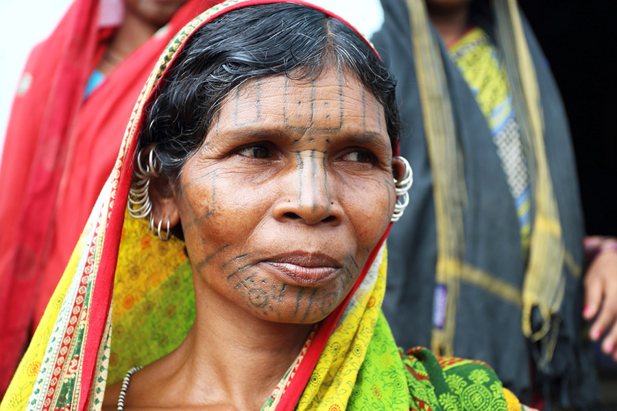 vaches, inde, paysage, tatouage, tatouage, tradition du tatouage, Cultures Kondh, visage, femme, tattoo, face tattoo, indian ink, encre, lignes, femme indienne