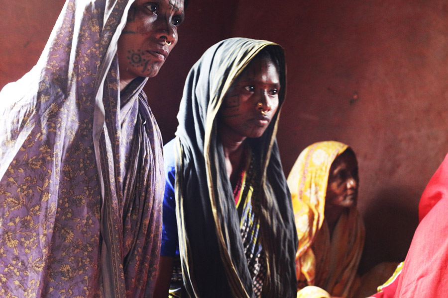 vaches, inde, paysage, tatouage, tatouage, tradition du tatouage, Cultures Kondh, visage, femme, tattoo, face tattoo, indian ink, encre, lignes, femme indienne