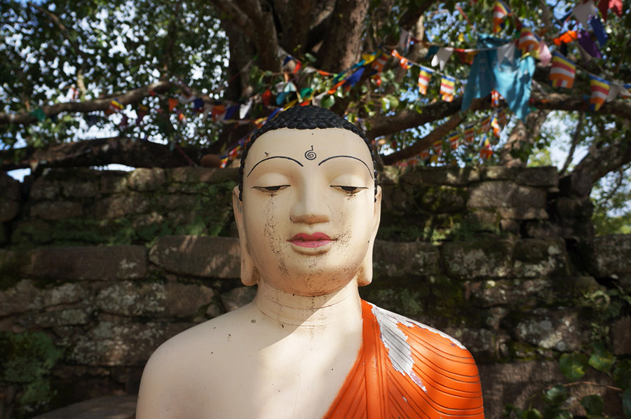 sri lanka, tatouage, monument, temple, photographie, bouddha
