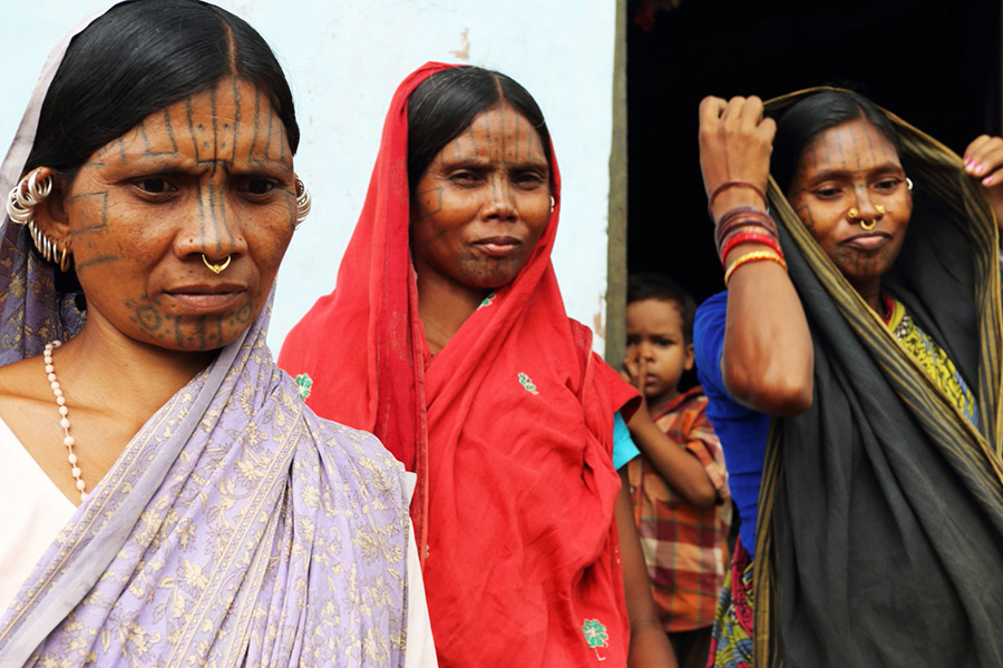 vaches, inde, paysage, tatouage, tatouage, tradition du tatouage, Cultures Kondh, visage, femme, tattoo, face tattoo, indian ink, encre, lignes, femme indienne
