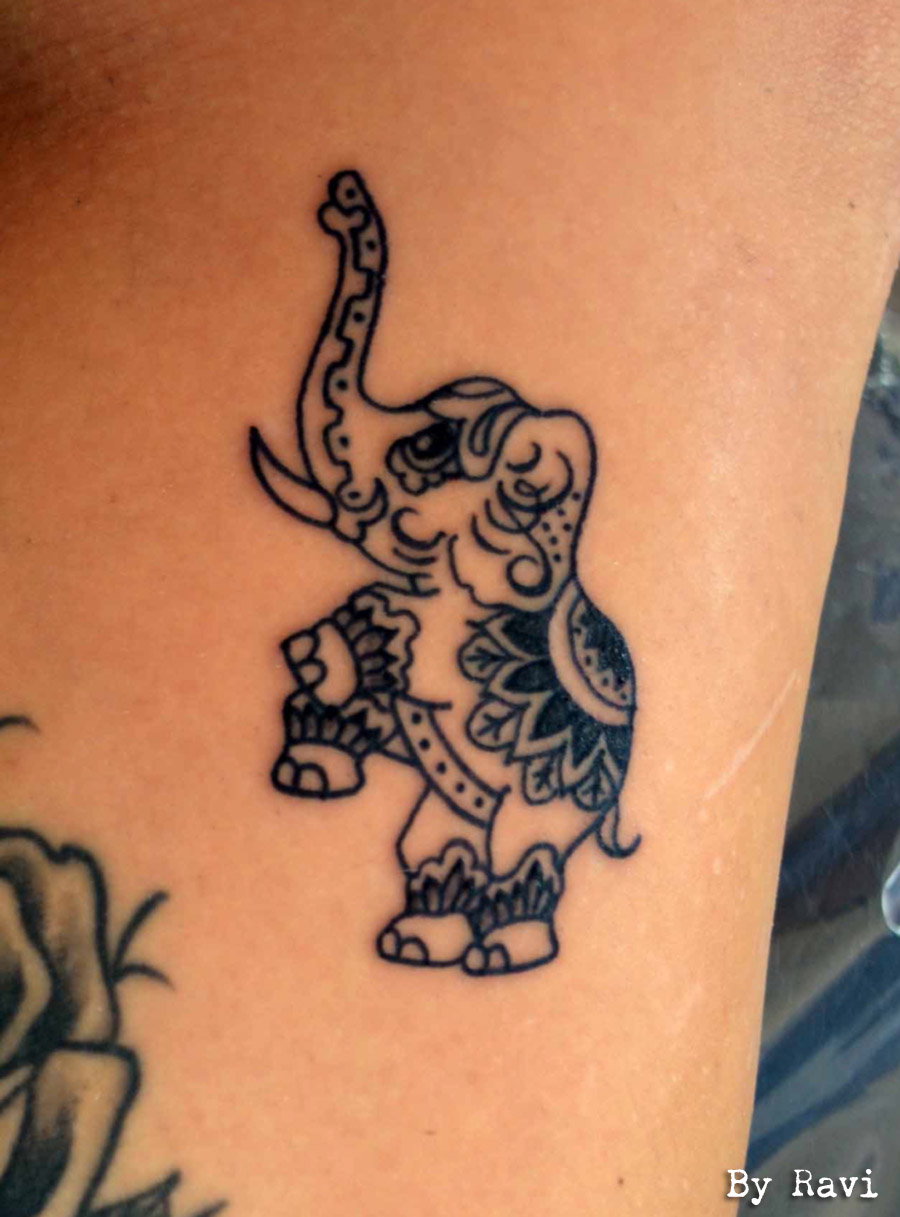elephant tattoo, sri lanka