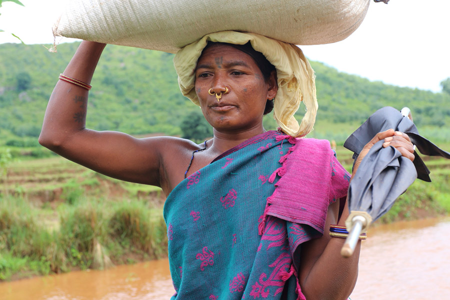 vaches, inde, tatouage, tradition du tatouage, Cultures Kondh, rivière, travail, face, face tattoo, femme, tattoo, indian ink, encre, lignes, femme indienne, tatouage