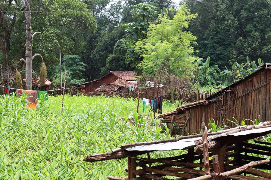 inde, tatouage, tradition du tatouage, femme, tattoo, indian ink, encre, lignes, femme indienne, portrait, tatouage, groupe de femmes