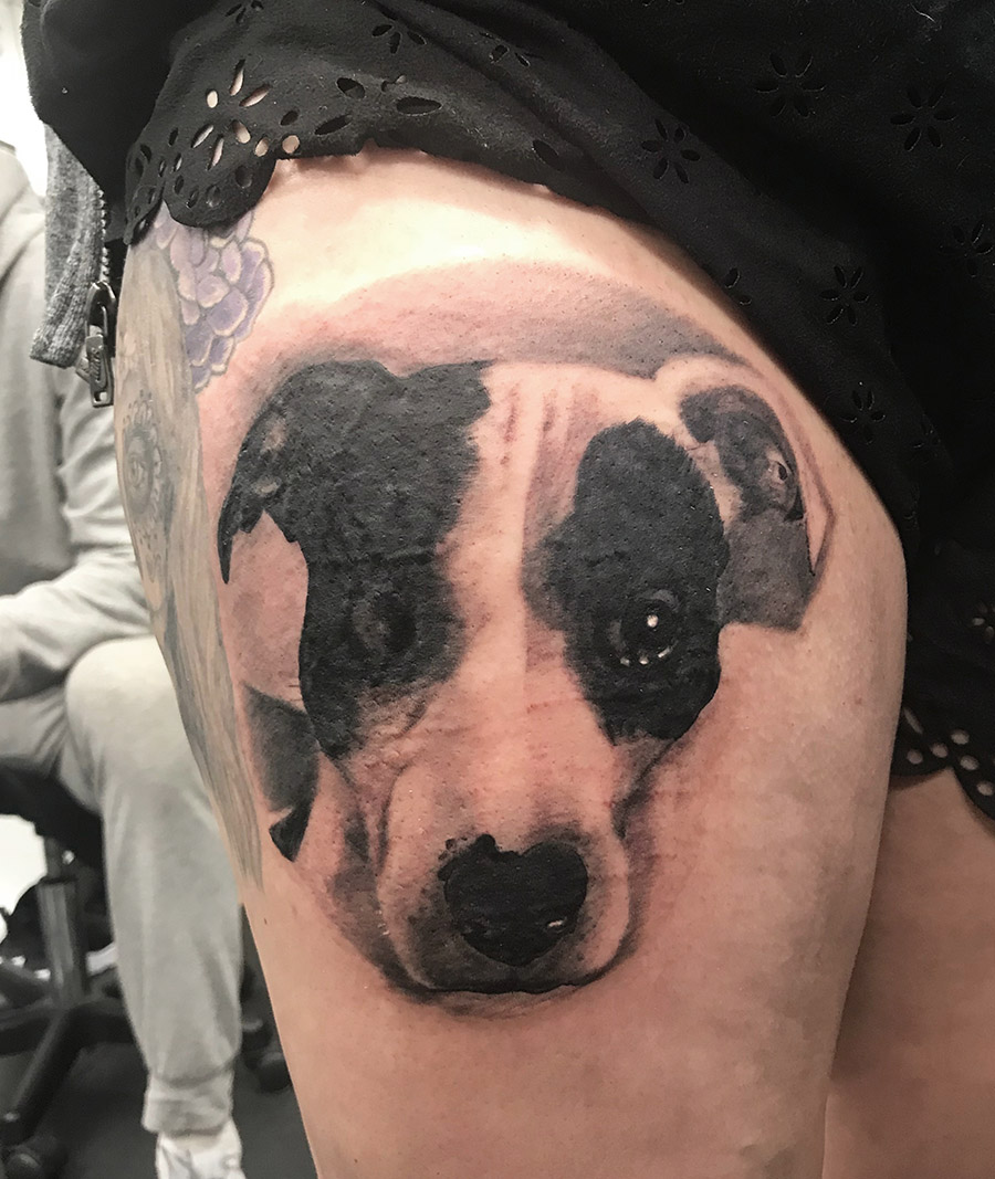 black and grey, black tattoo, dog, tatouage